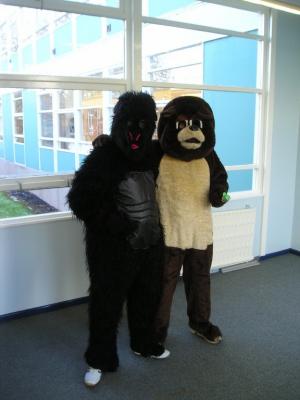 Another day at the Rivers Agency..