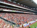 Mexican Wave