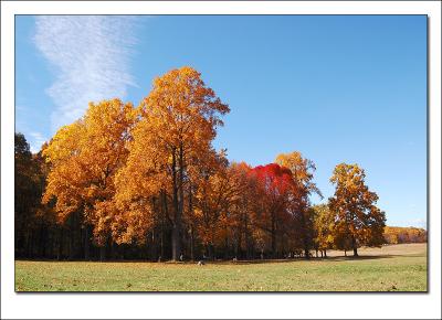 color_of_autumn