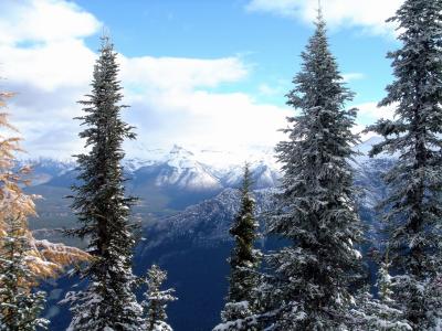 Sulphur Mountain