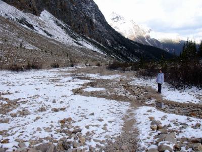 The Glaciers of Mount Edith Cavell