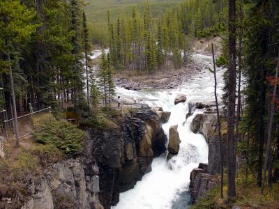 Sunwapta Falls
