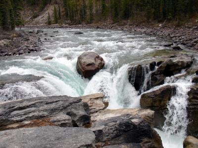 Jasper