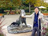 Butchart Garden