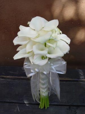 calla