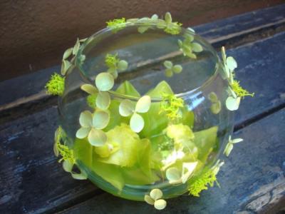 green bubble bowl