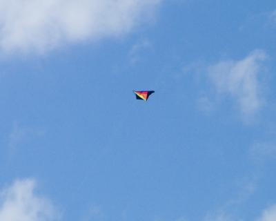 Kite