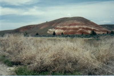 Painted Hills7