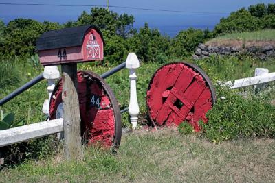 A Taste of The States -  Faial