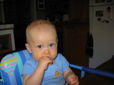 Newfangled High Chair