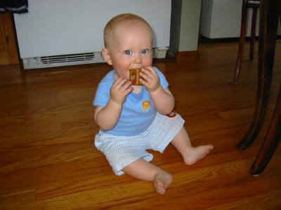 Will Eating one of Daddys Toy