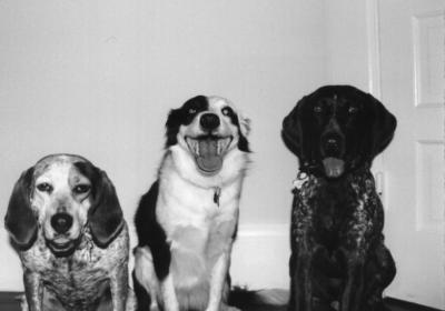 3amigos2000