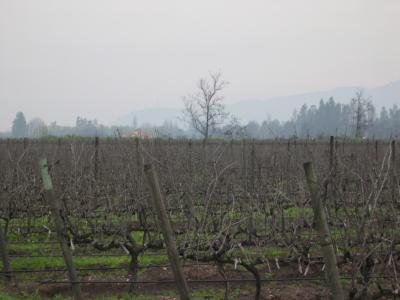 Underagga Vineyards