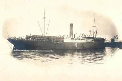 MARIE LOUISE SCHIAFFINO.jpg