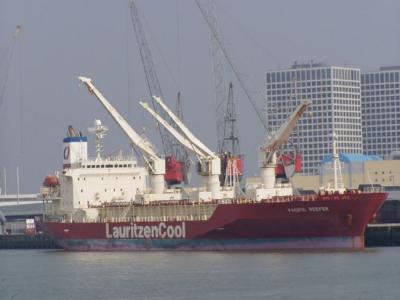 Pacific Reefer 1999.jpg