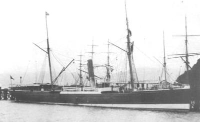 Penguin_ 1879  NZ.jpg