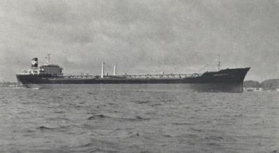 Vardefjell 1964.jpg