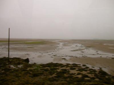 DSCN8406.JPG
