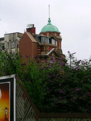 DSCN5298.JPG