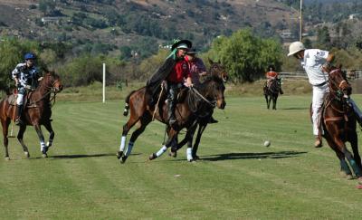 Halloween Polo 058