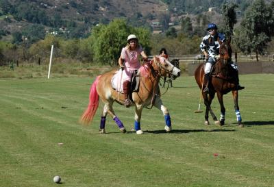 Halloween Polo 059