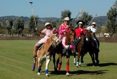 Halloween Polo 068