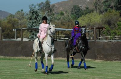 Halloween Polo 2005
