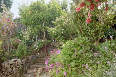 O & E's garden, 2005 (photo thanks to Marianne M.)