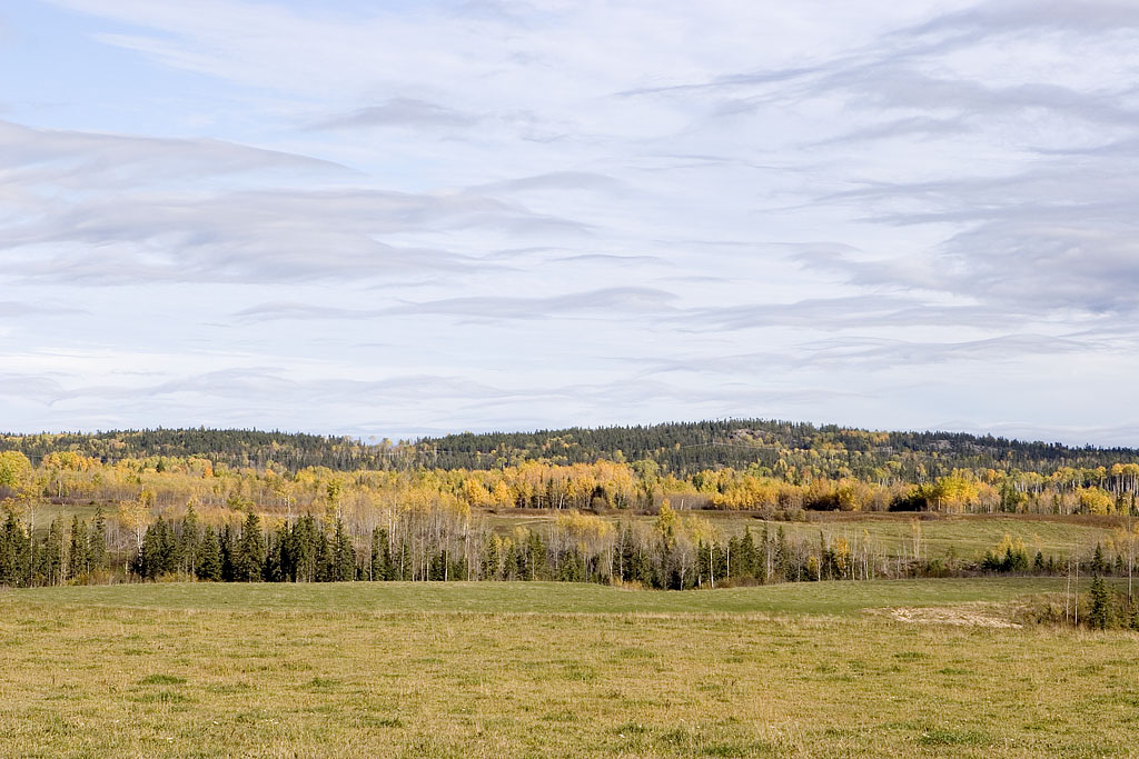 Northern Ontario countryside  Wabewawa and Krugerdorf