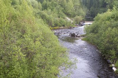 Store Creek dam June 5, 2005