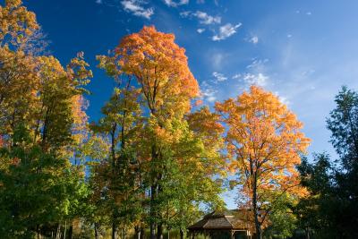 Waterloo Park