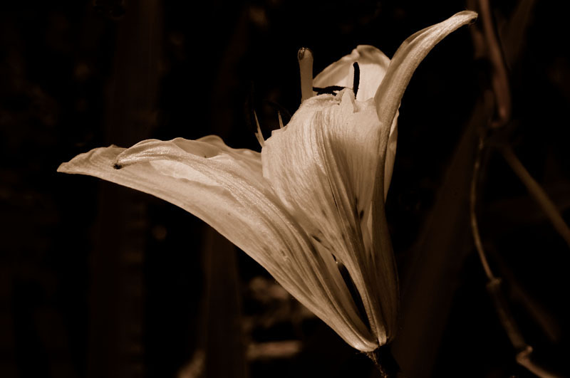 May 31 2005