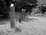 Row of Headstones in Old Part of Cemetery
