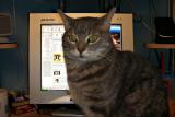 June 24 2005
