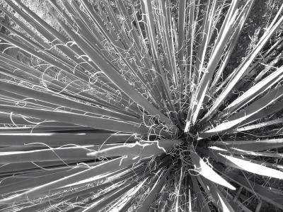 Converging Lines.jpg