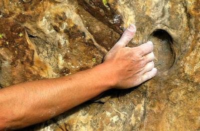 The Grip. Large.jpg