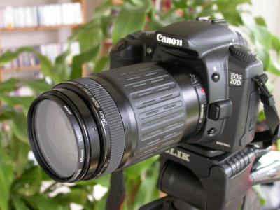 Canon 75-300 Lens