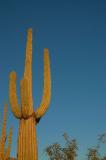 dsc_0035_rz.JPG