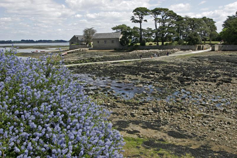 Arrivée à l'île Berder