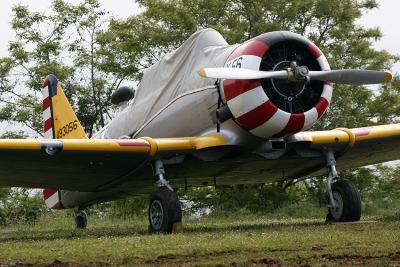 North American T-6 Texan