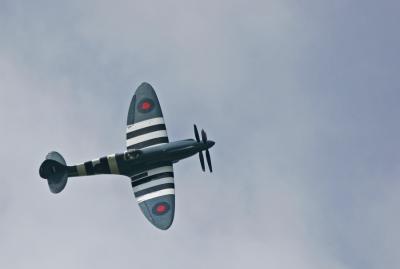 Supermarine 389 Spitfire PR19 en vol