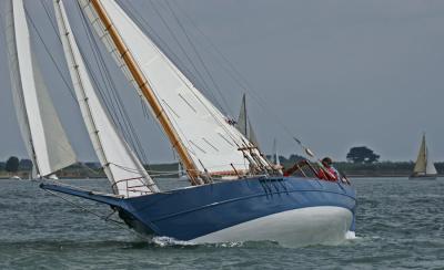 Vendredi 6 mai - La Mouette Rieuse