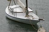 Vétille pendant la Semaine du Golfe 2005