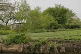 Découverte des hortillonnages d'Amiens