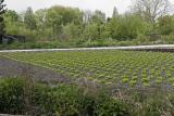 Découverte des hortillonnages d'Amiens