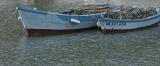 Barques avec casiers