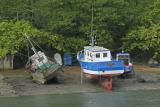 Bateaux de pêche à Conleau