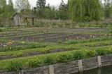 Découverte des hortillonnages d'Amiens