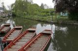 Découverte des hortillonnages d'Amiens