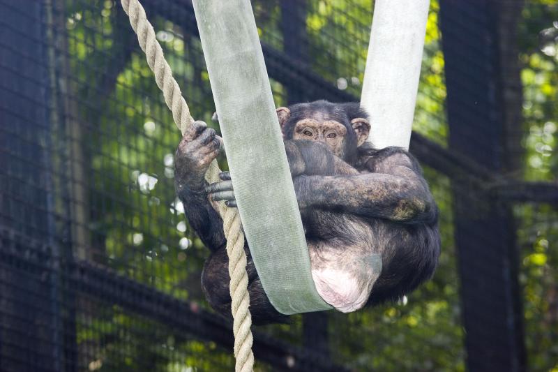 zoo6.jpg